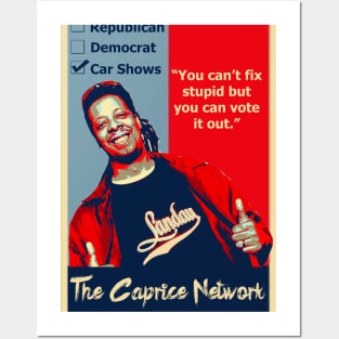 Republican Democrat Car Shows 2024 Election You Can't Fix Stupid Posters and Art